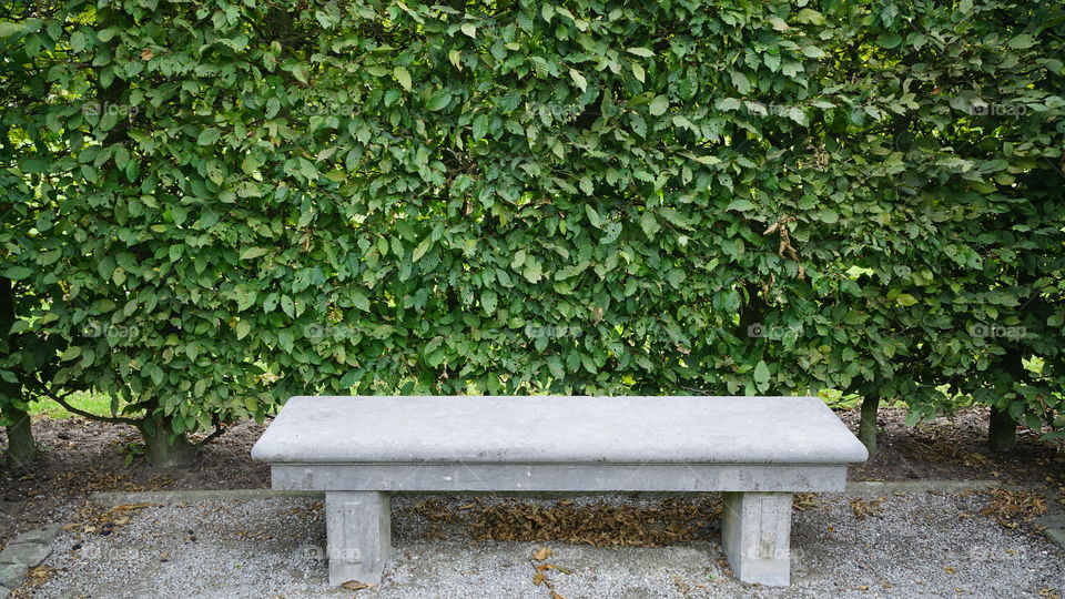 Stone bench in a garden