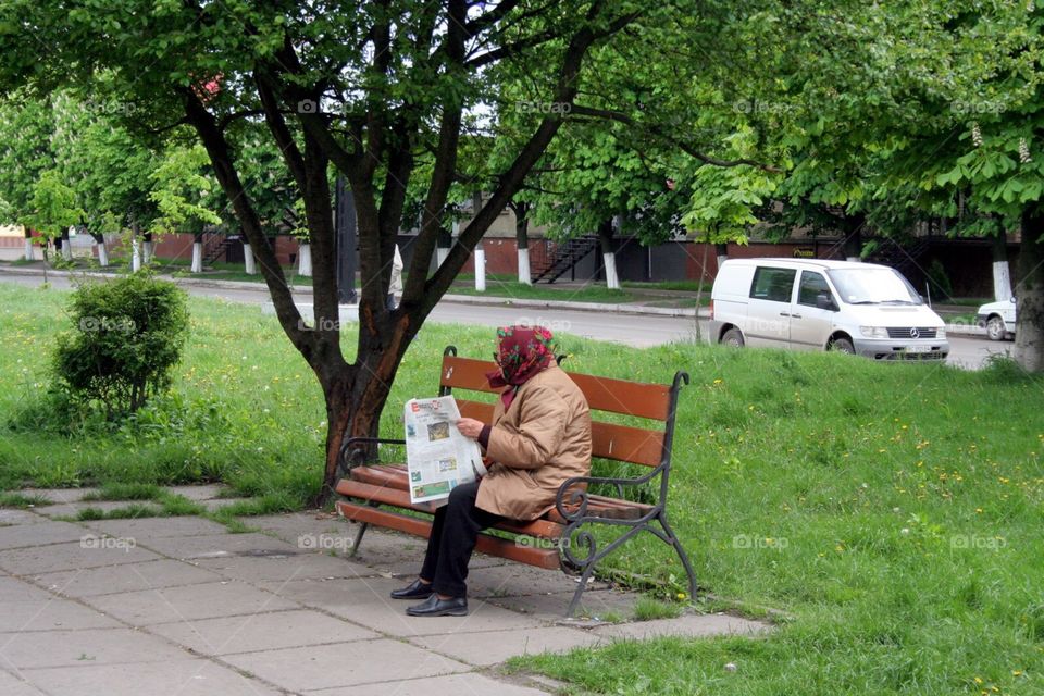 Bench, People, Park, Tree, Seat