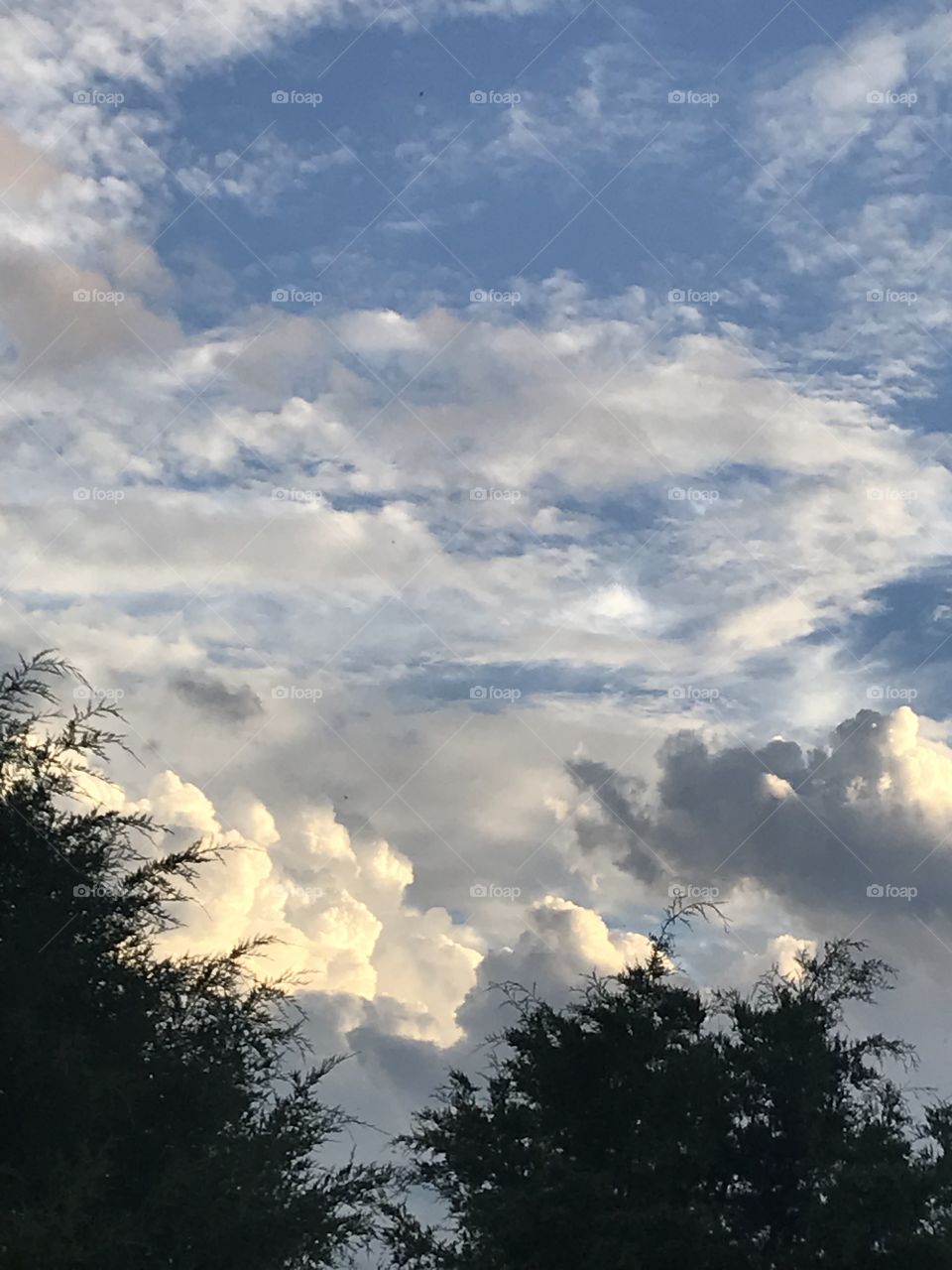 The beginning of sunset in the Bluegrass state is just as breathtaking as the sunset itself. 