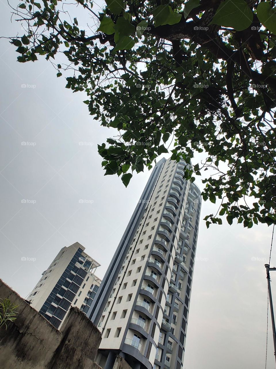 Mobile series: Architecture