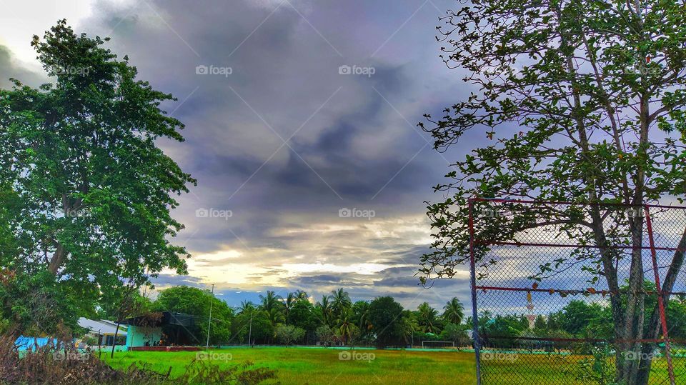 landscape of green nature captured in a cloudy day