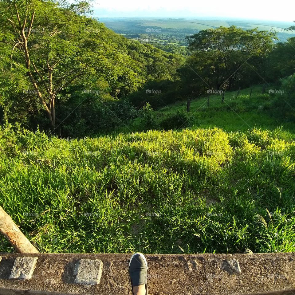 I see greens are here