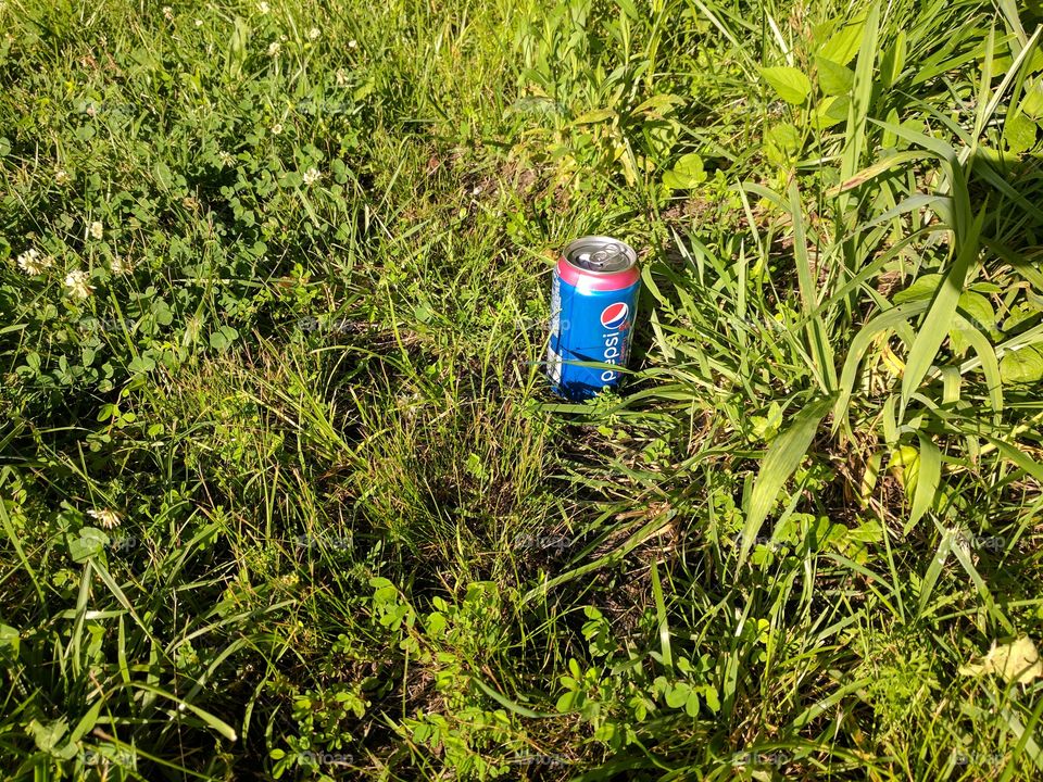 Pepsi in grass