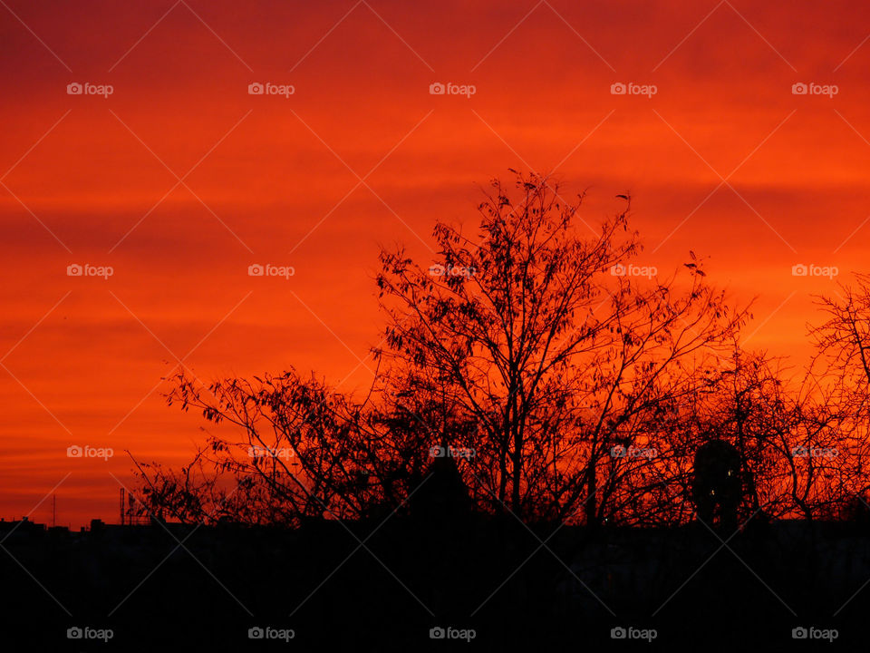 Incredible sunset in Berlin, Germany