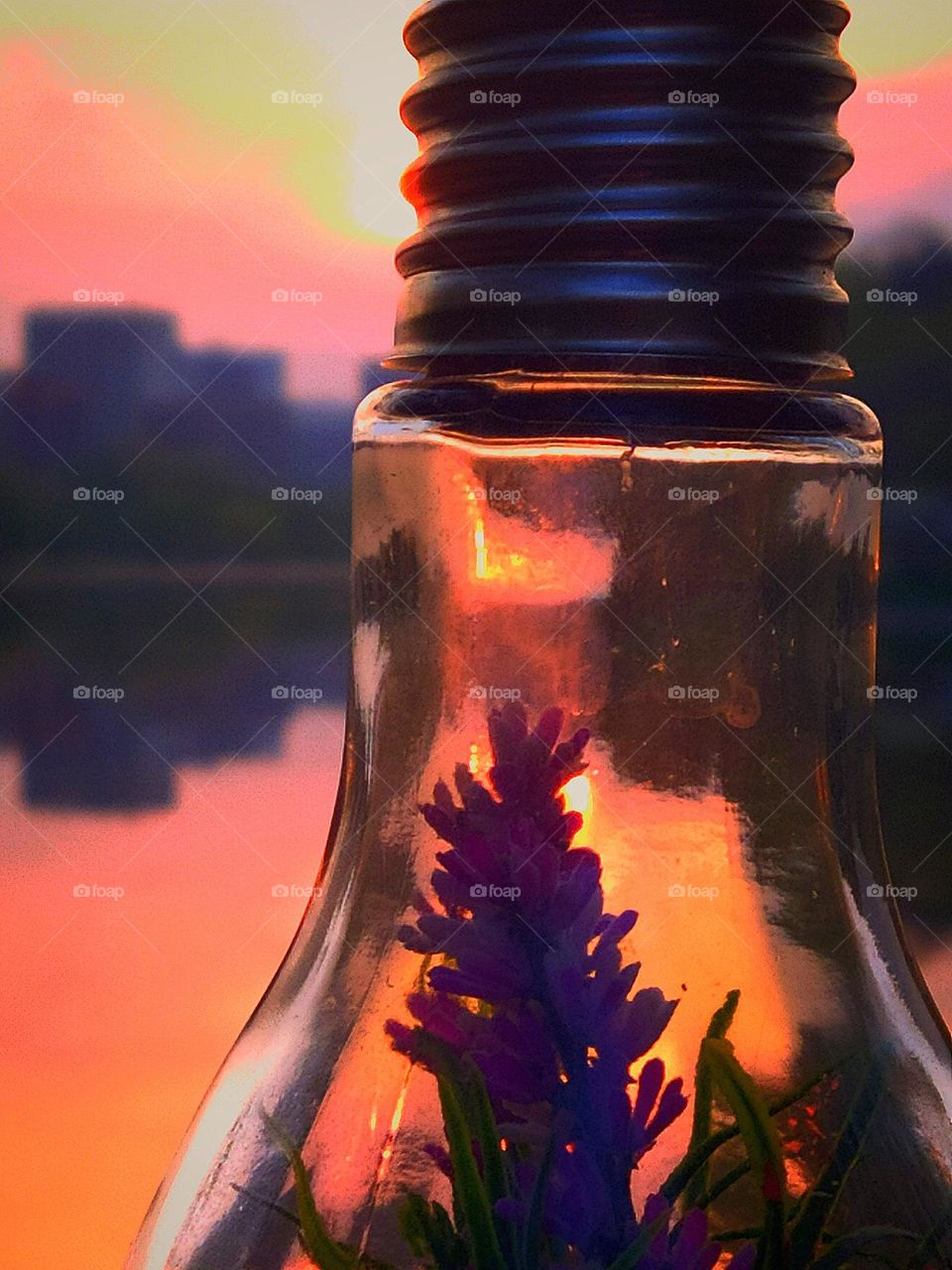 Purple and its shades.  A light bulb containing a purple flower.  The light bulb stands against the backdrop of the sunset on the river.  Purple reflections of the sunset