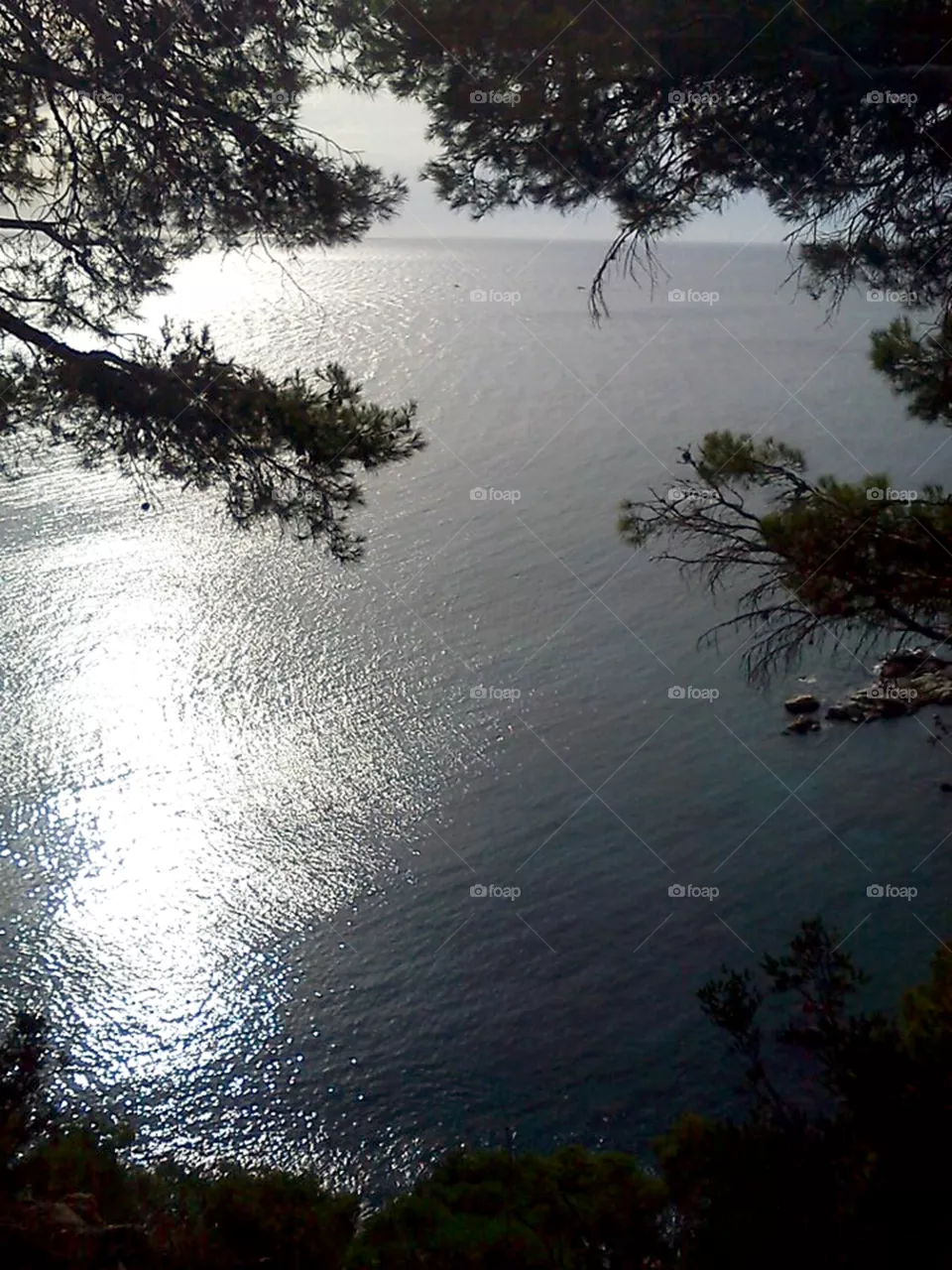 water