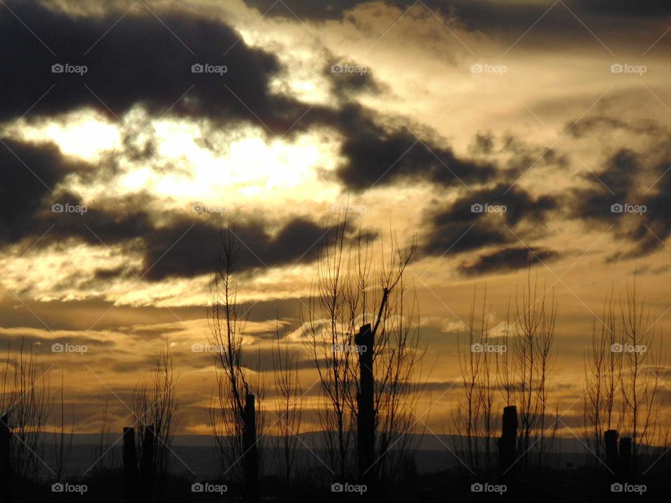 Beautiful eastern Washington skies