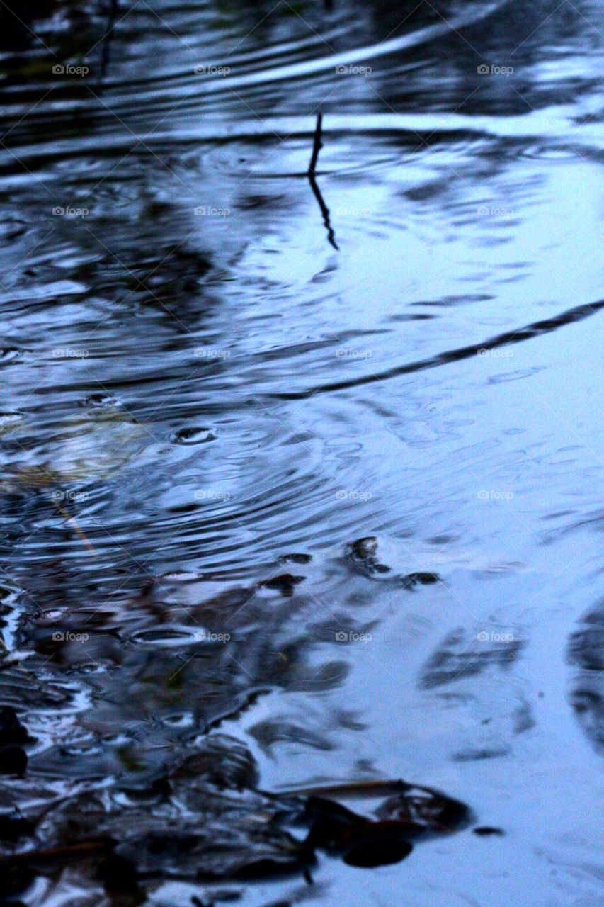 Circles in the water