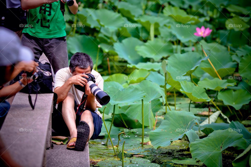 photography summer camera lotus by brucequ404