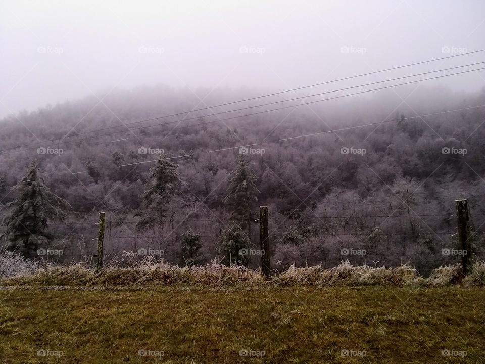 Ice fog in a wintery day in the mountains