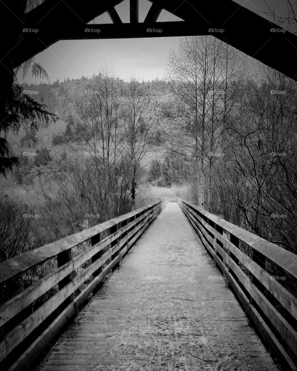 black and white bridge