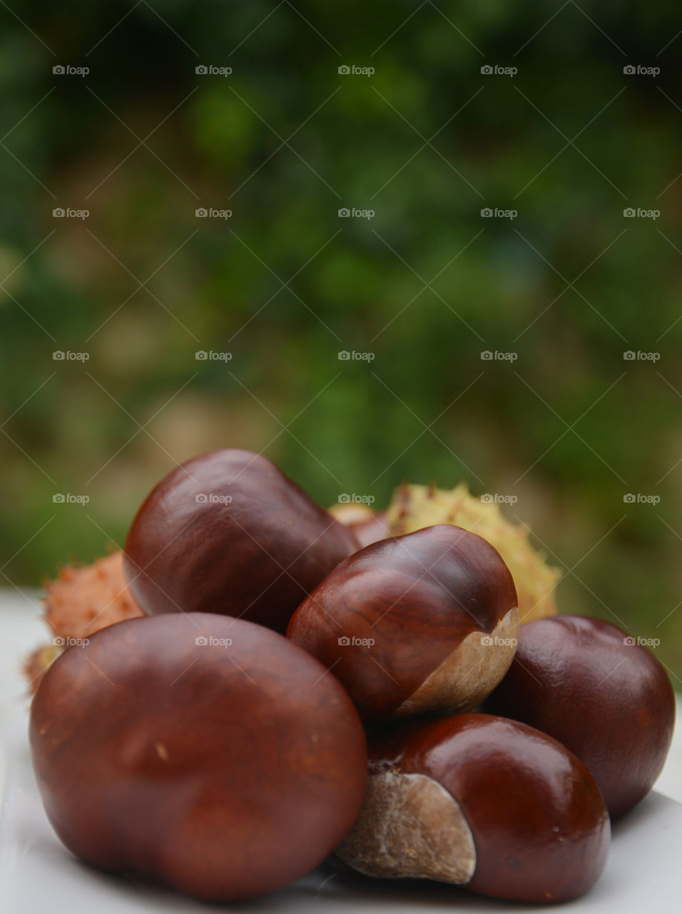Chestnuts. garden time