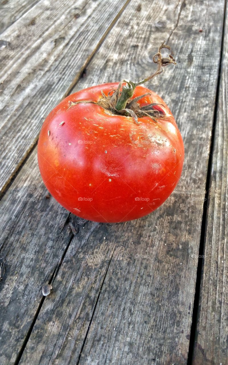 Healthy organic vegetable