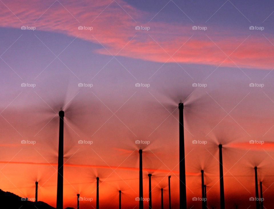 Windmills 