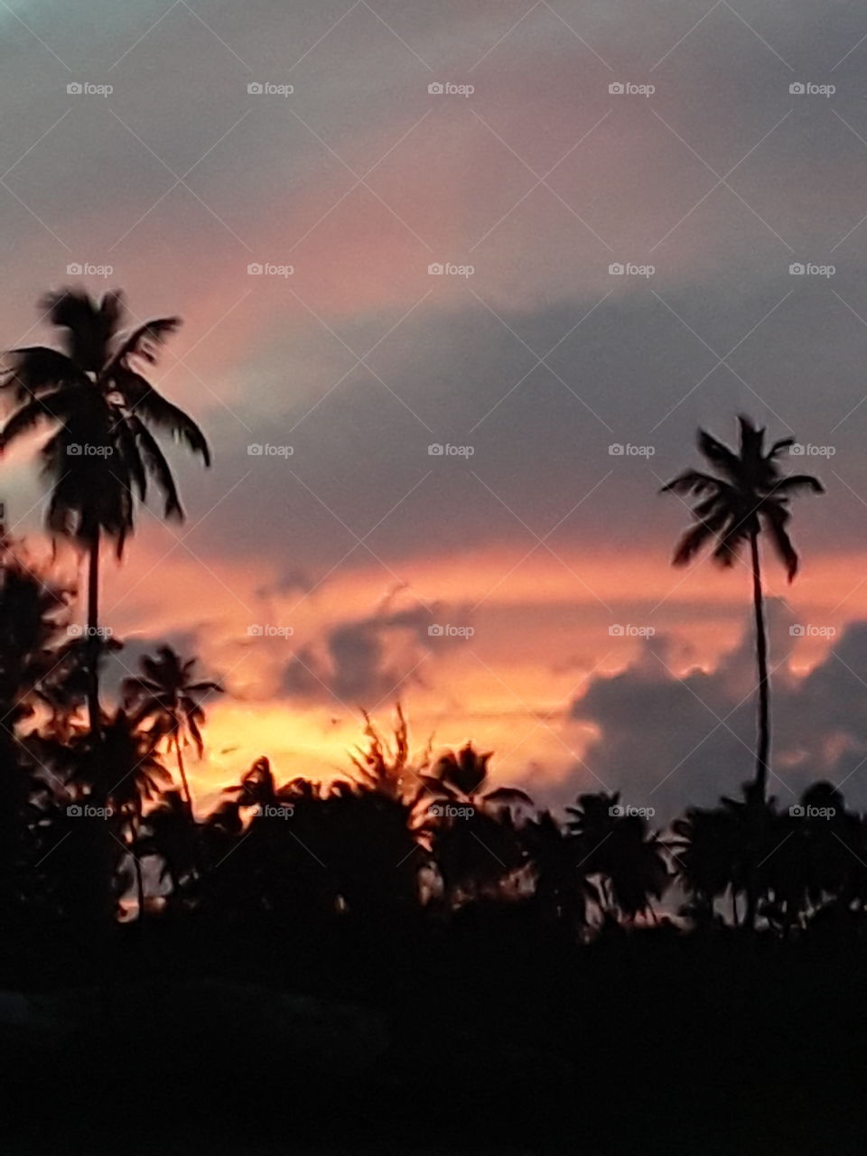 magnificent tropical sunset in the Dominican Republic