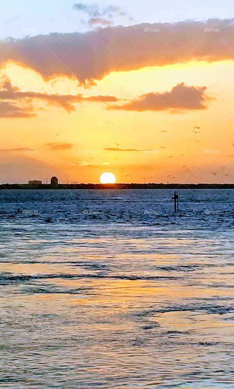 Sunset at Port of Tampa