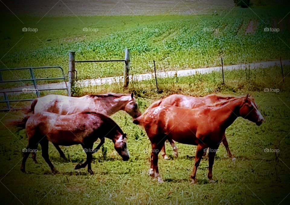 Driving the Back Roads and enjoying everything around us