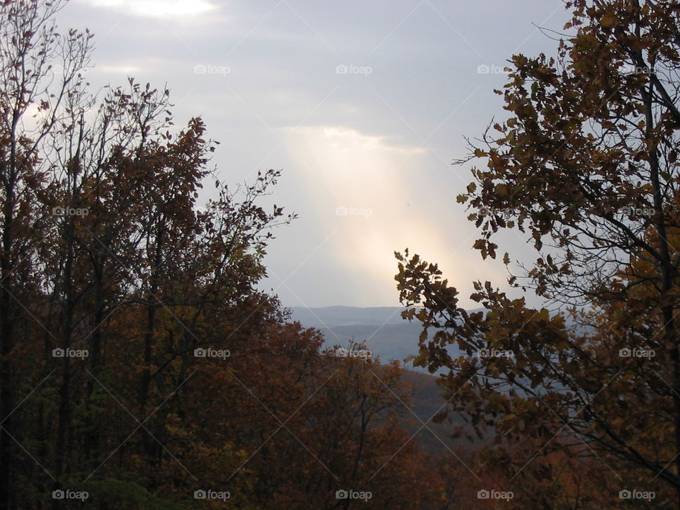 Ray of Light, Ray of Hope