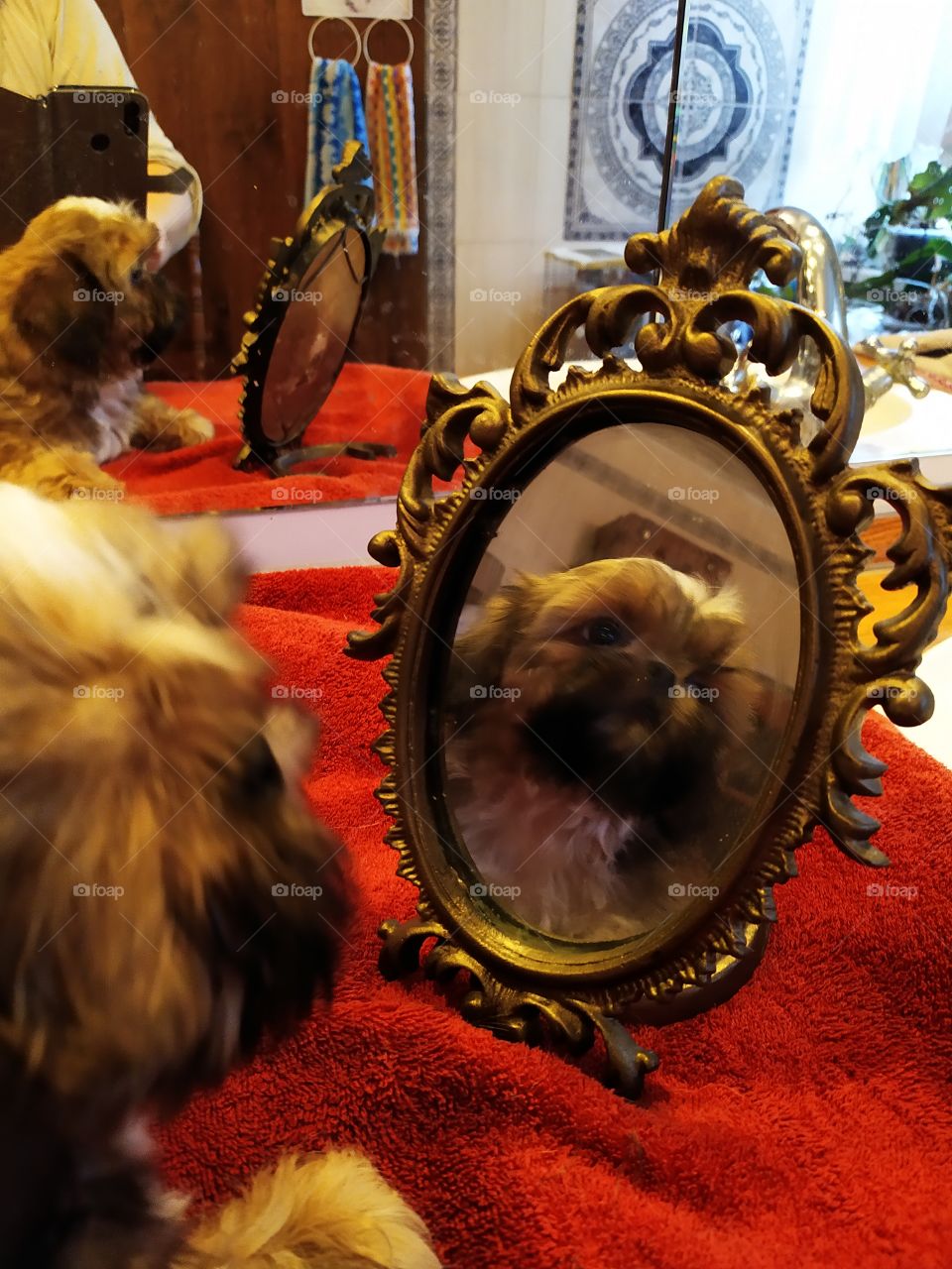 Portrait and reflections