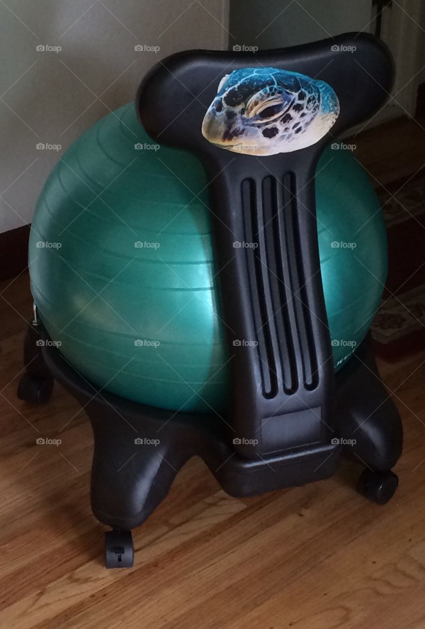 Inflatable ball chair with turtle face