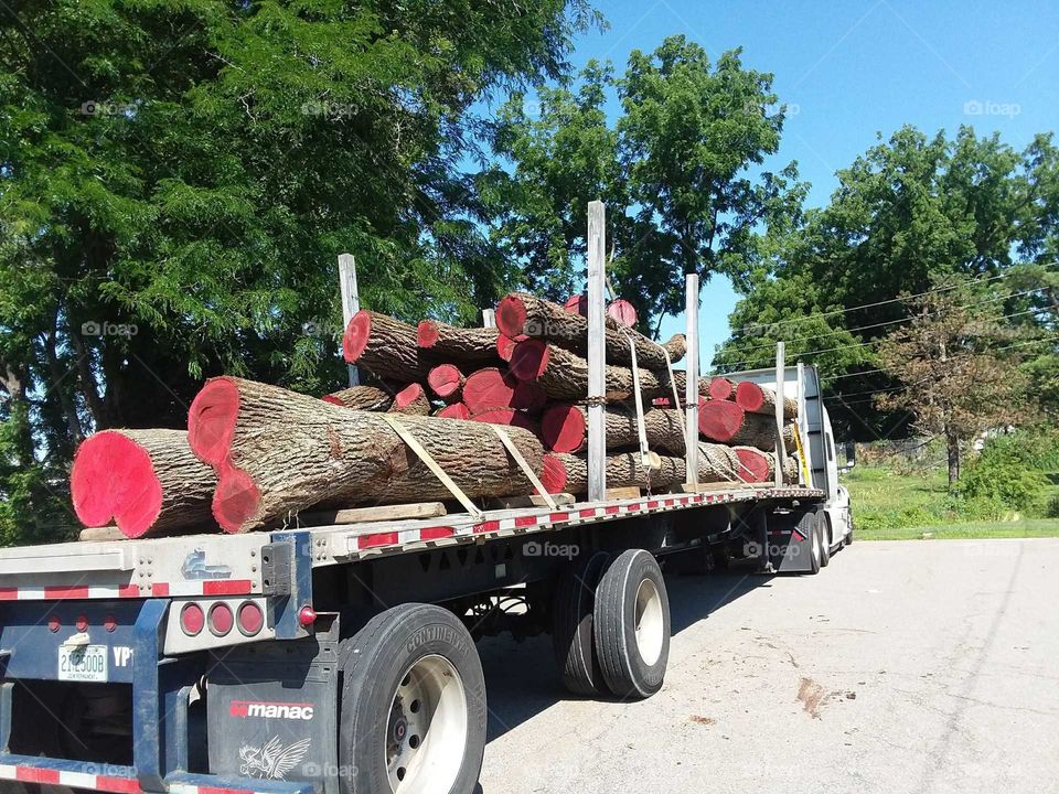 logging truck