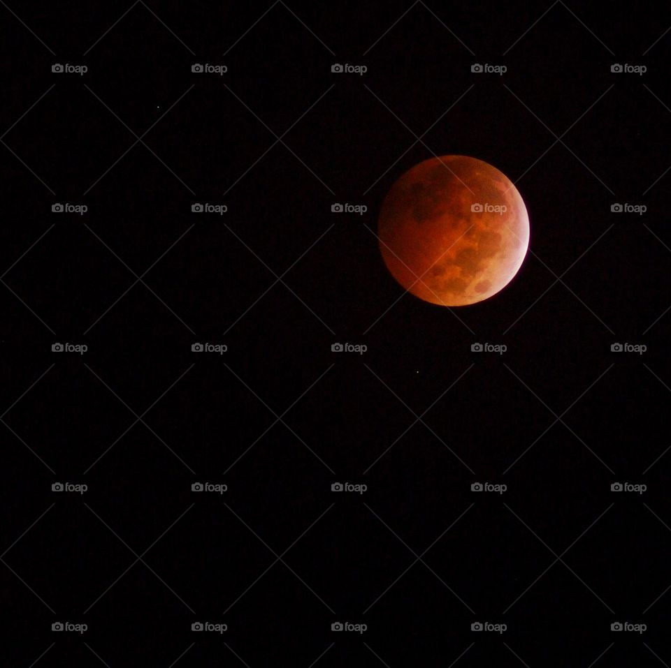 View of bloodmoon in sky