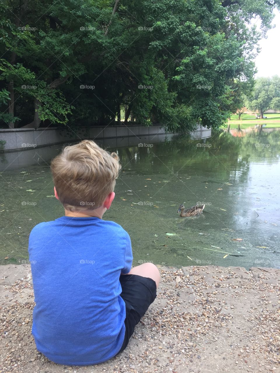 this little stinker kept throwing pebbles in the water to trick the duck into thinking it was food. // dtx 