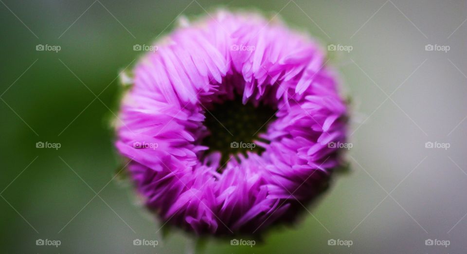 You’re not a weed!