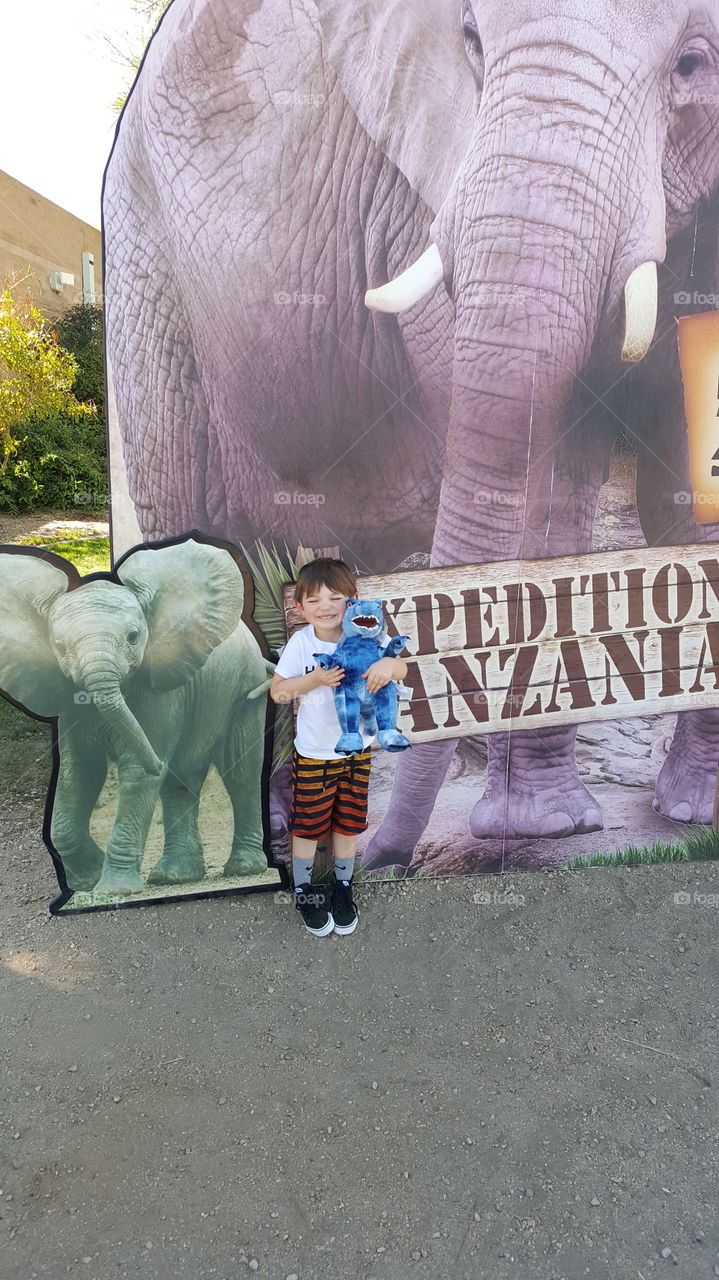 Reed Park Zoo