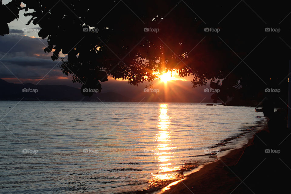 Sunset on the beach with trees. In Florianopolis Brazil