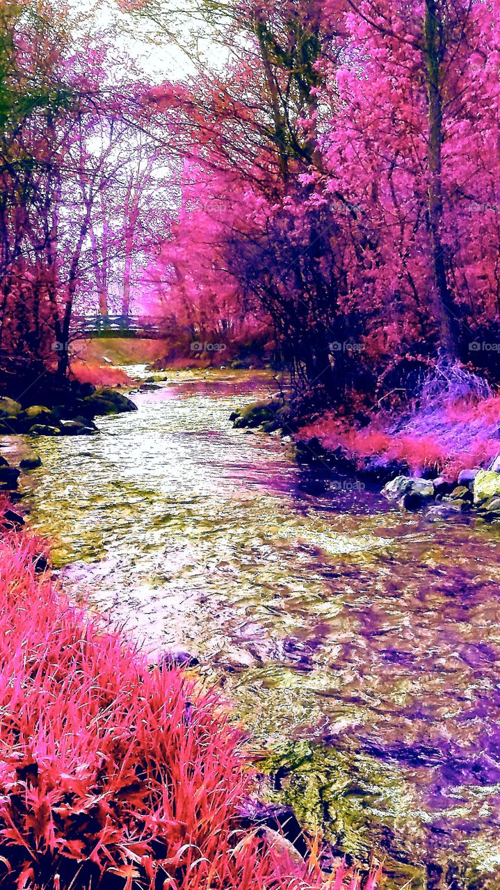 beautiful colorful river in Minnesota forest