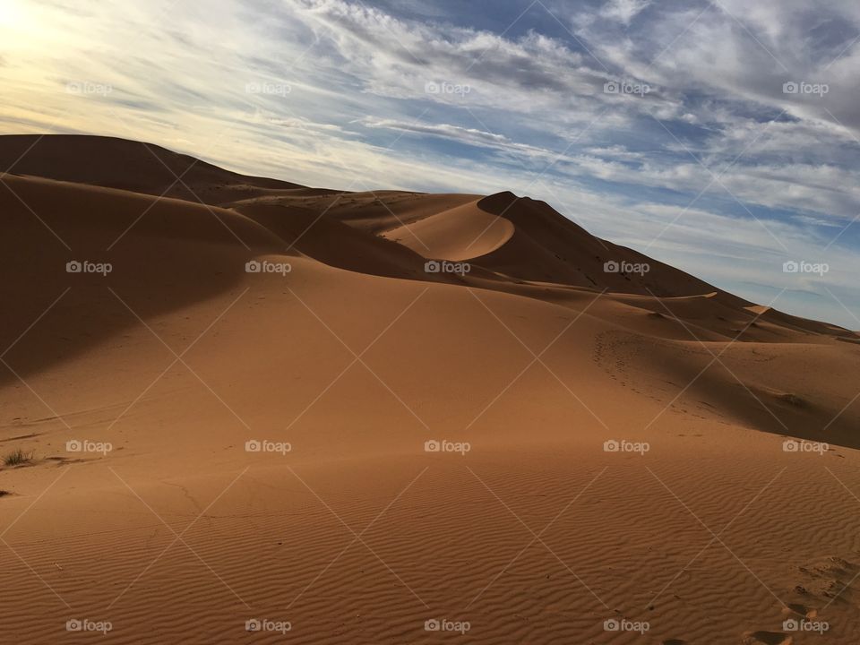 Desert, Sand, Dune, Wasteland, No Person