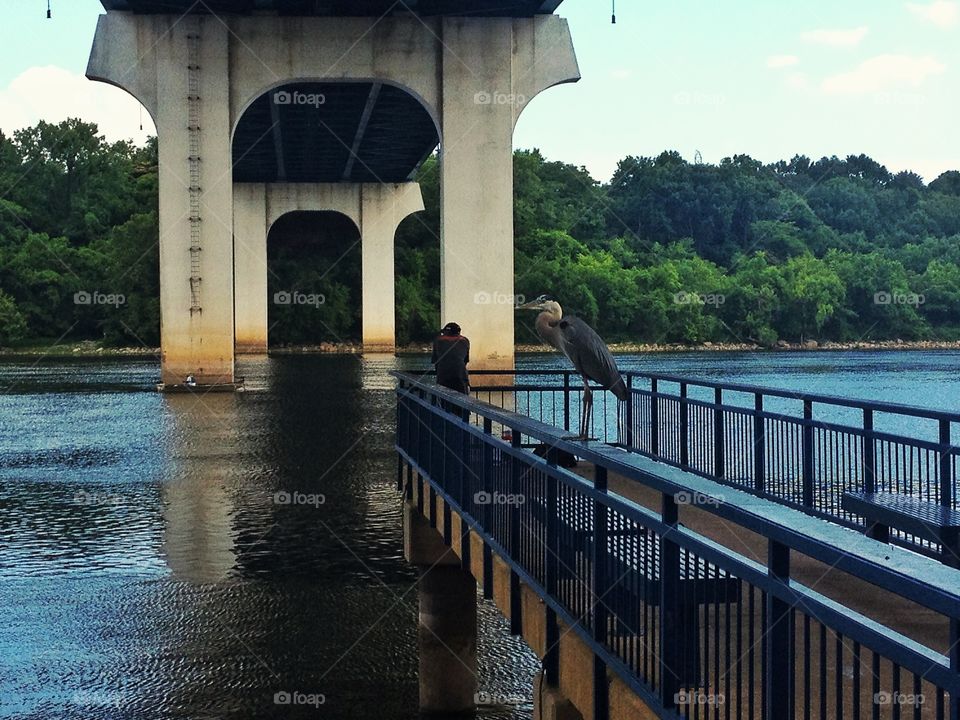 Man and nature
A river at Chattanooga, Tennessee. 
