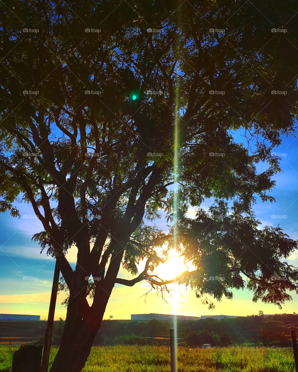 #Sol das 07h!
Que ilumine nossa semana...
☀️
#sun
#sky
#céu
#photo
#nature
#manhã
#morning
#alvorada
#natureza
#horizonte
#fotografia
#paisagem
#inspiração
#amanhecer
#mobgraphia
#brazil_mobile
#FotografeiEmJundiaí