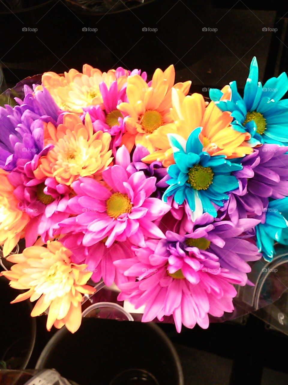Beautiful flowers . colorful flowers