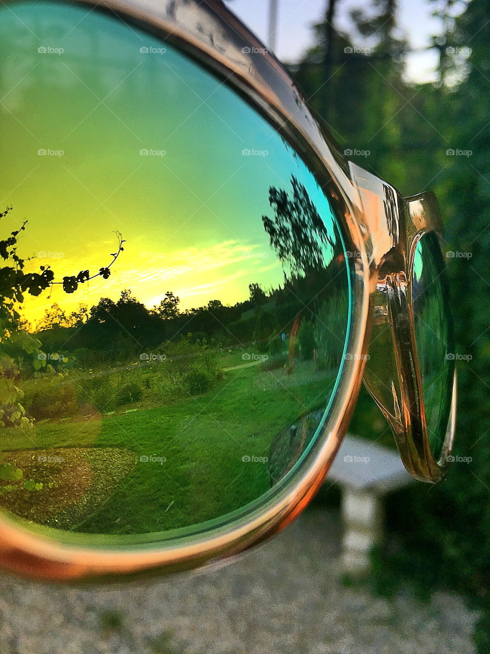Nature reflected in goggle