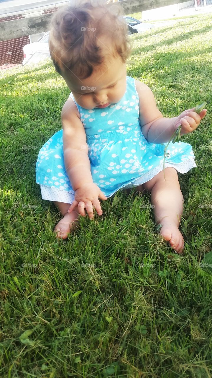 Child, Grass, Little, Summer, Baby