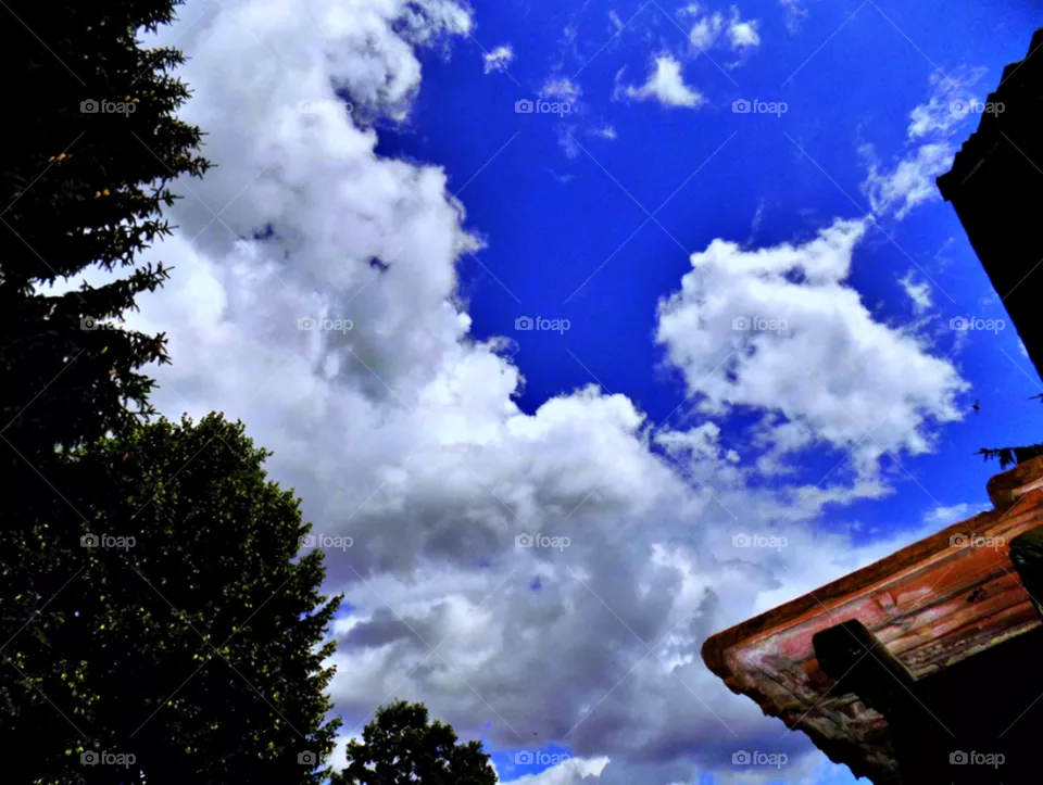 Sky