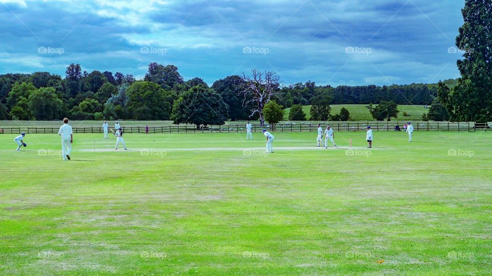 Cricket. Cricket match 