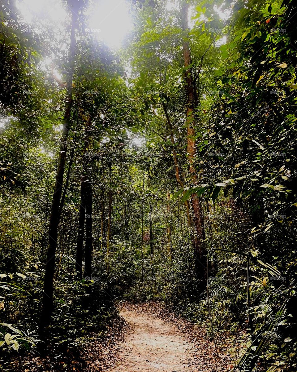 Walking in to the home🌲