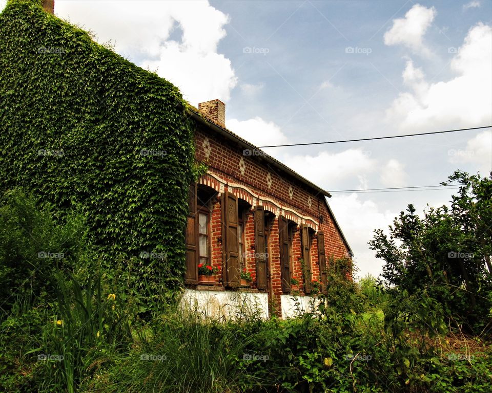 Marais de Saint Omer