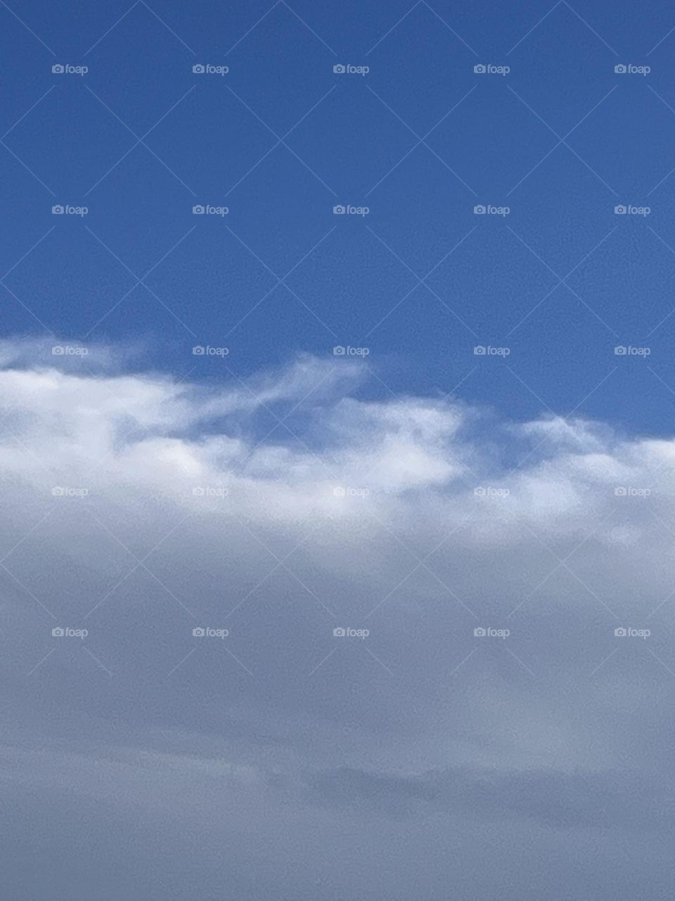A large white and grey cloud to contrast beautifully with the deep blue sky.