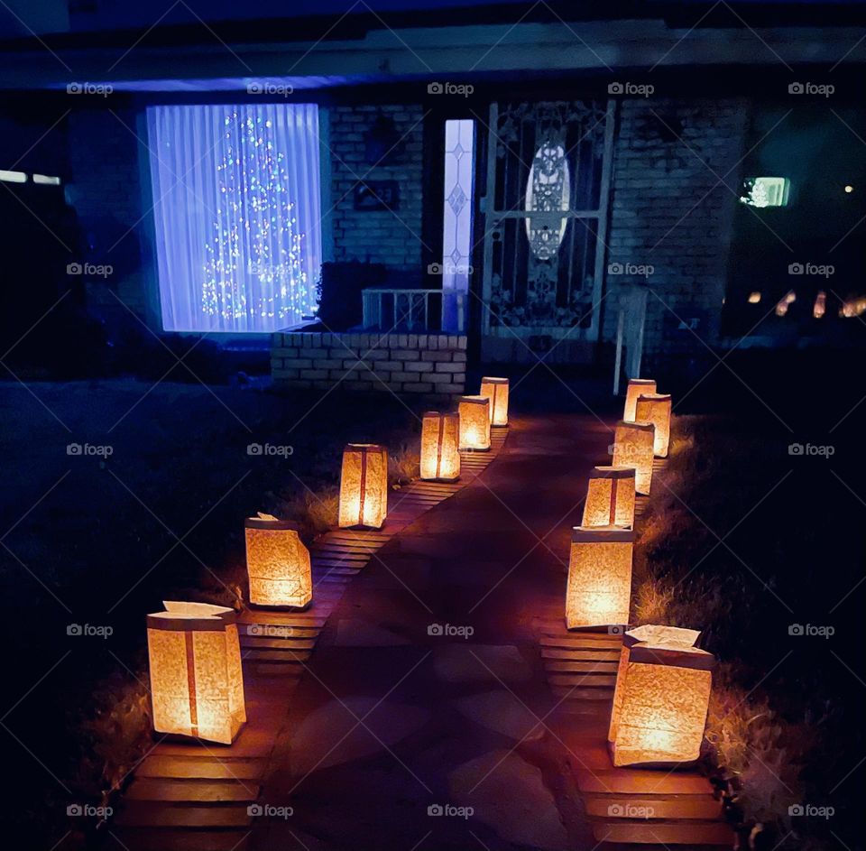 Warmth Tones of Fall 