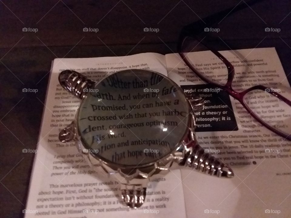 my new great deal I picked up at work! thought it was a cute paperweight  only to find out bonus! it's a magnifying glass 😂