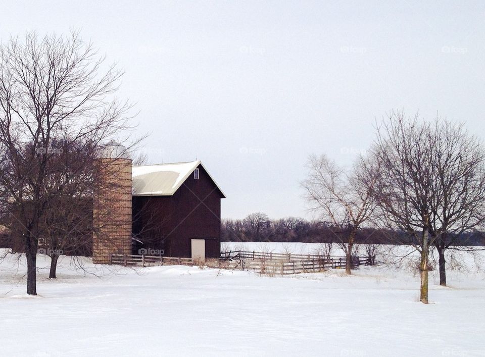 Brown Barn