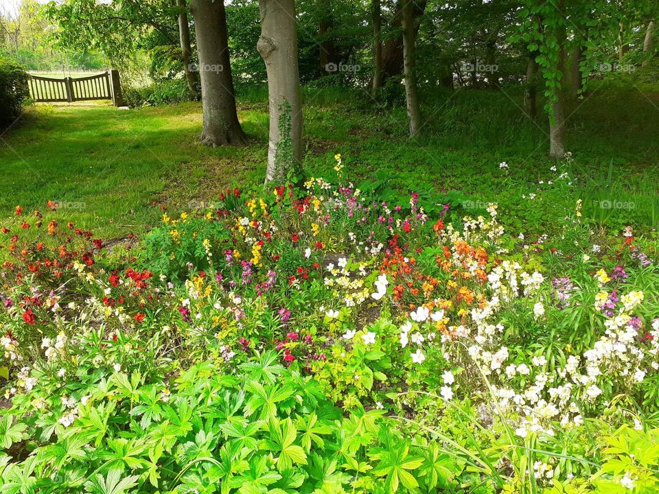 biodiversity - everything is green