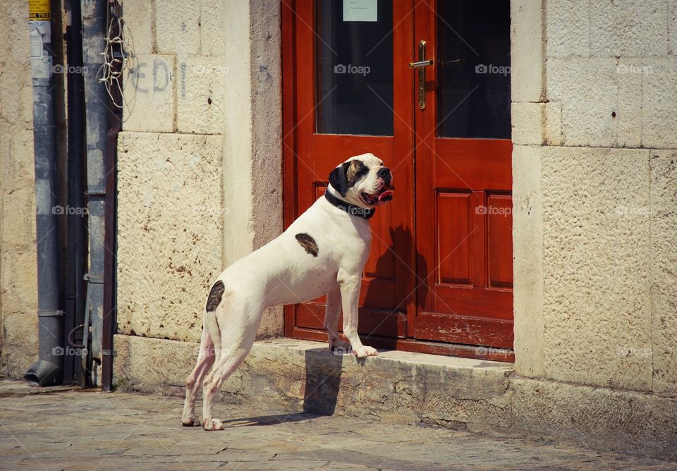 Let me in