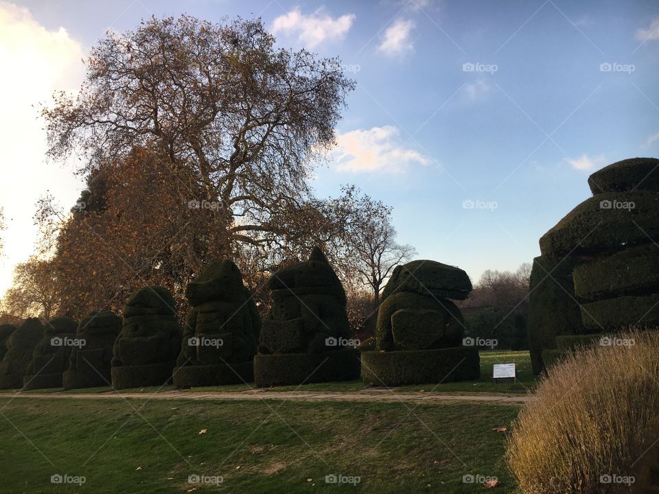 Topiary 