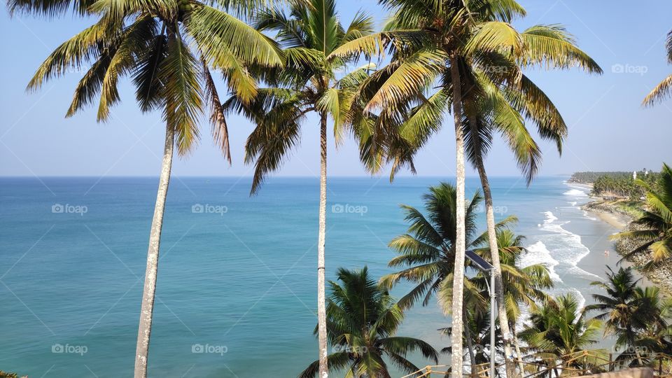 vacation on a beach.