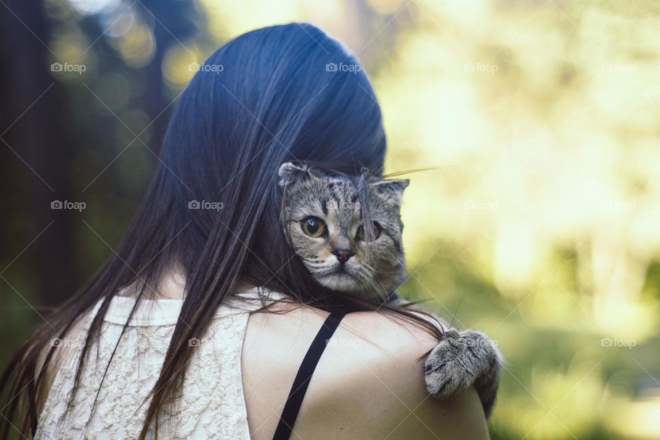 A Cat hugging her owner